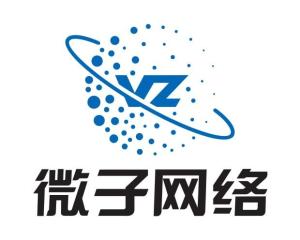 江蘇微子網絡科技