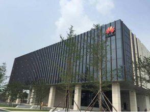 眾巨頭入駐襄陽云谷，金融外包服務繪就城市未來新藍圖